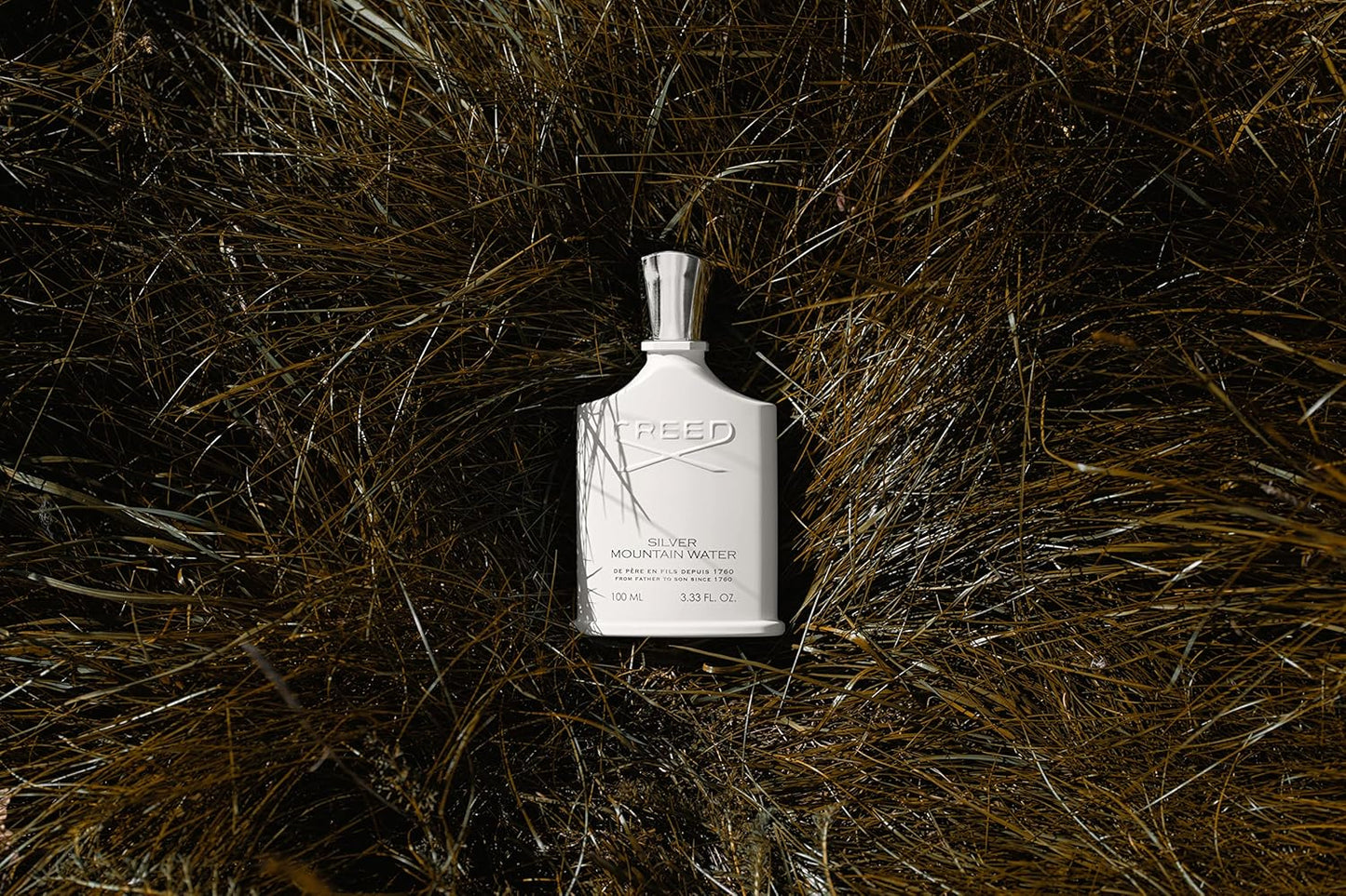 Creed Silver Mountain Water – Men's Luxury Cologne – Citrus, Fruity & Woody Fragrance